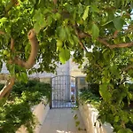 Barbaresko Apartamento