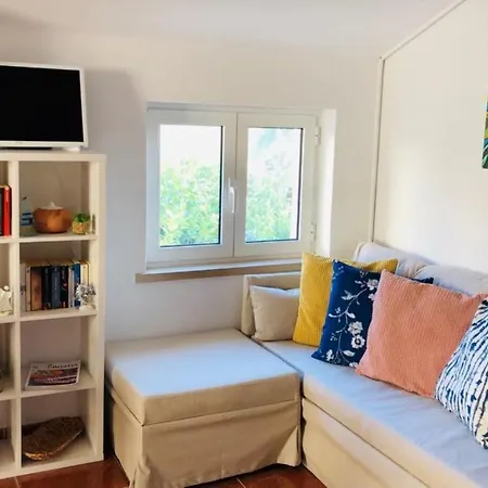 Barbaresko 룸바르다