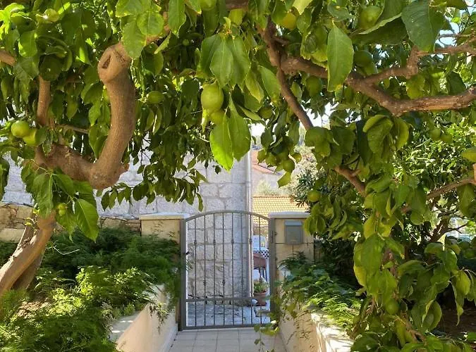 Barbaresko Διαμέρισμα